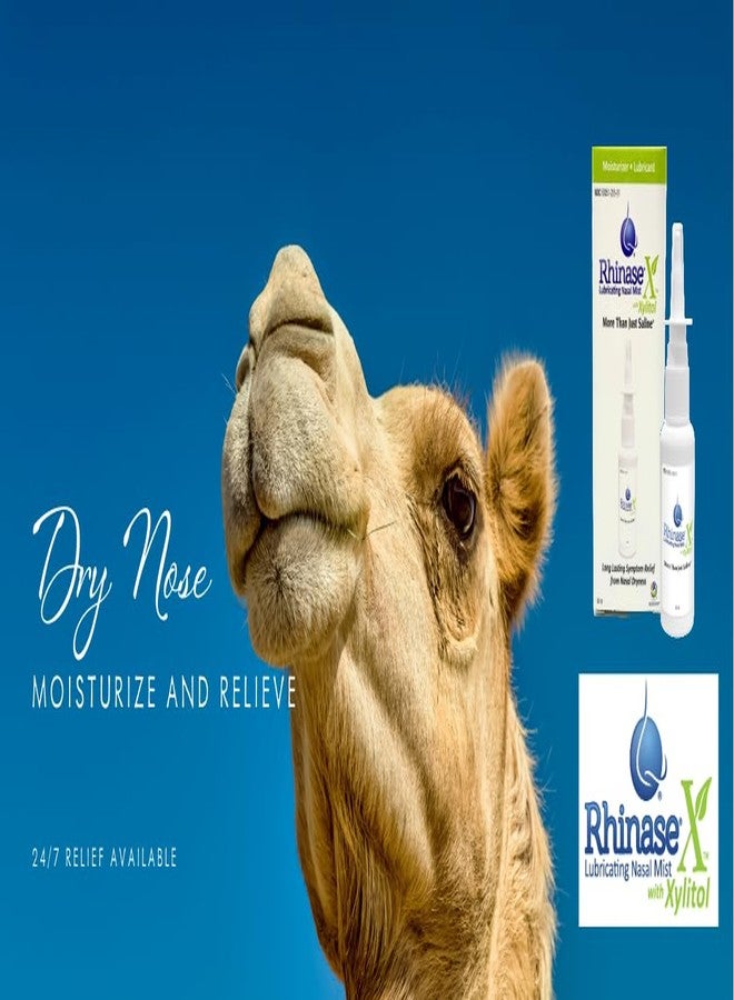 Rhinase X Mist 3 Pack with Dual wetting Agents, Dual Salts and Now xylitol to Offer The Best Option for a Healthy moisturized Nose. - Image 2